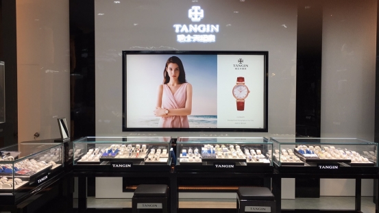 瑞士天珺皮表带,瑞士天珺表logo图片