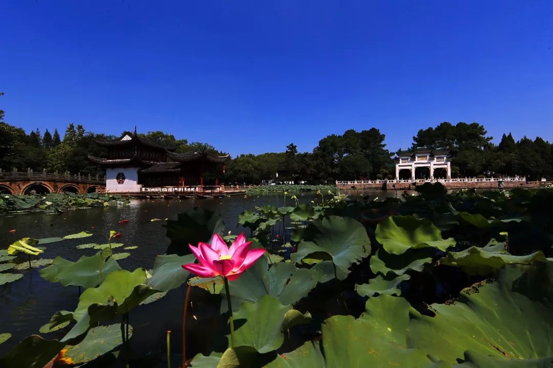 快收好！端午小长假期间，上海各大景点备下超丰富出游盛宴！你可能正需要这份贴心假期玩乐指南