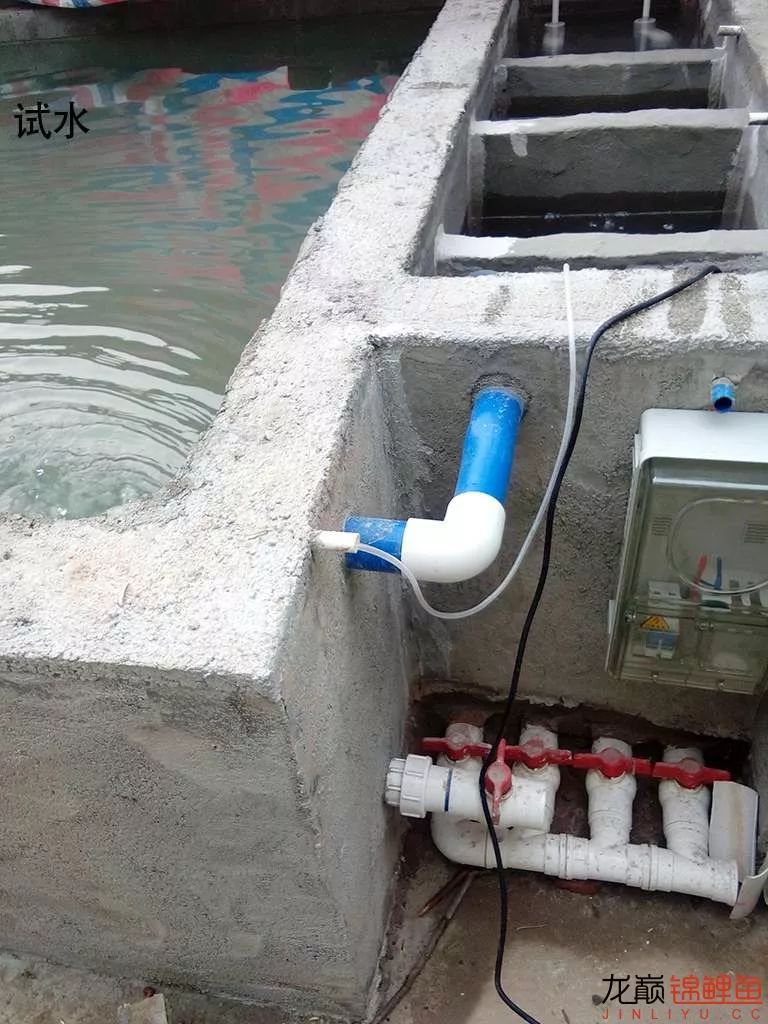 锦鲤池建造施工过程,楼顶怎么施工建锦鲤池