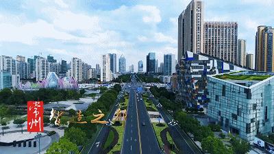 用领养代替购买，让流浪的“毛孩子”有个温馨的家~