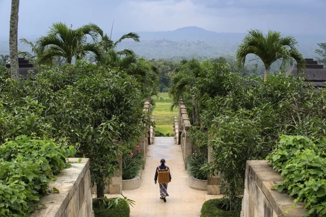 安缦酒店设计,安缦设计师jaya怎么去世的