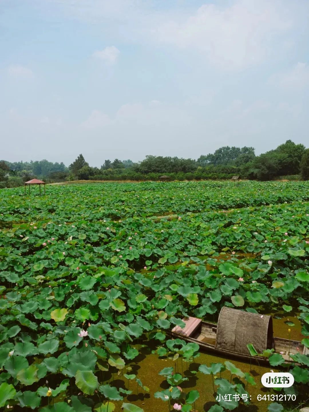 夏日避暑胜地高铁直达,坐动车可直达哪些地方避暑