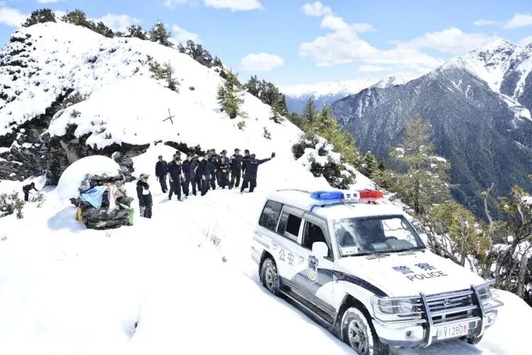 他们不是山神，却是虫草山上的守护神！