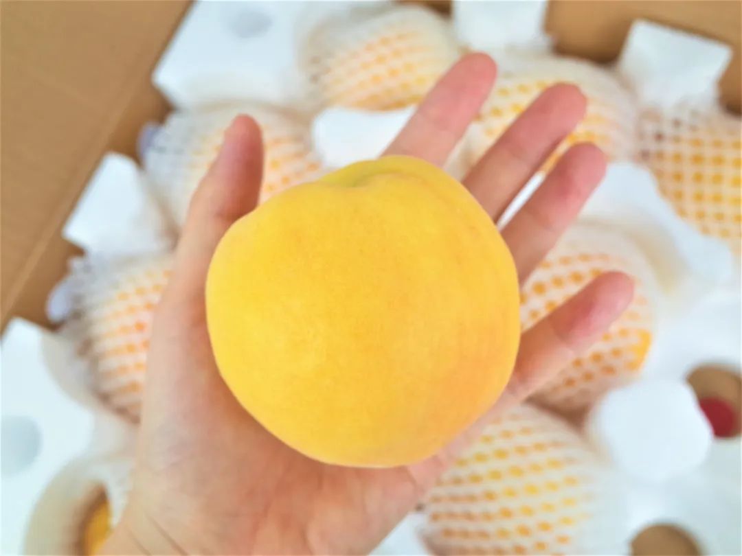 16°香甜,一*爆口**汁,称霸整个夏天的“蜜桃之王”来了