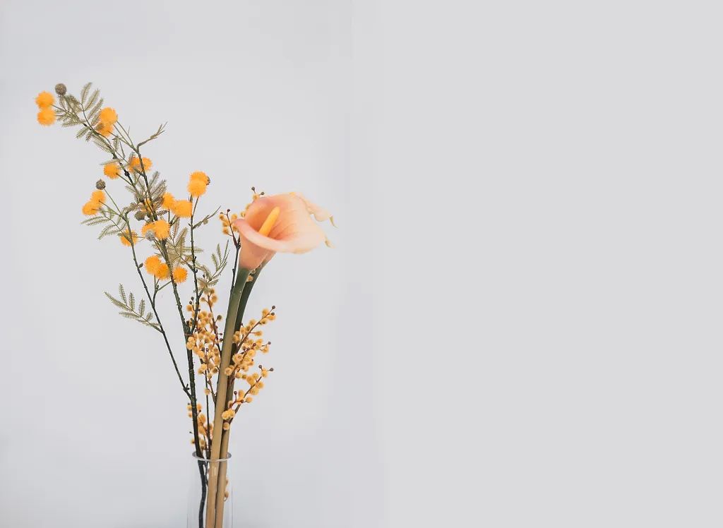 浮生六记林语堂散文,浮生六记林语堂