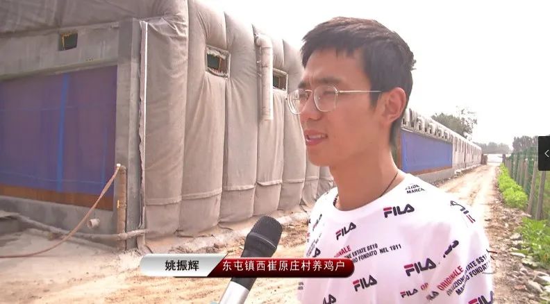 90后小伙养鸡创业带动家乡脱贫,返乡创业养鸡致富带头人