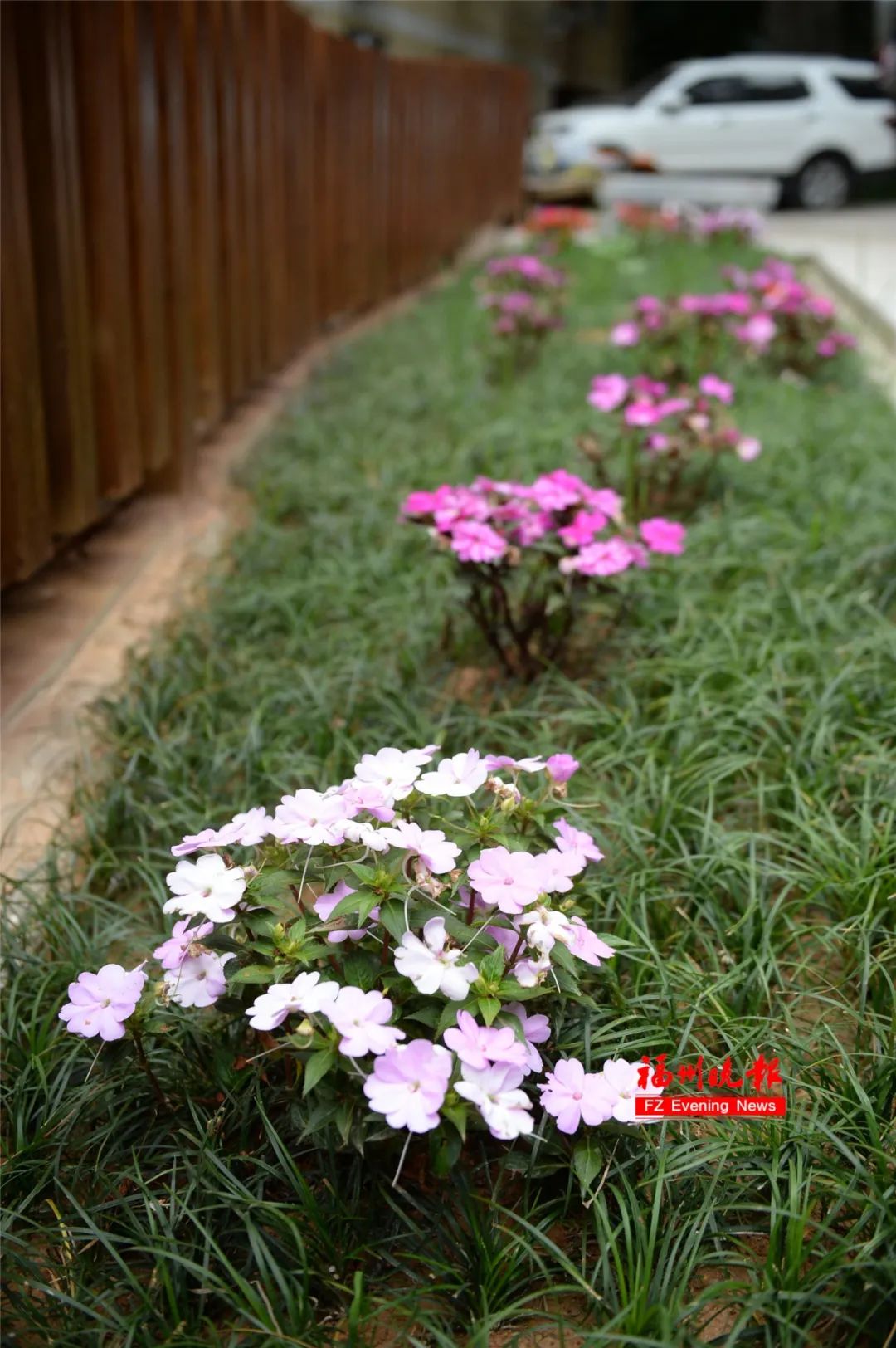 即将亮相福州这所公园大升级,福州最新的公园