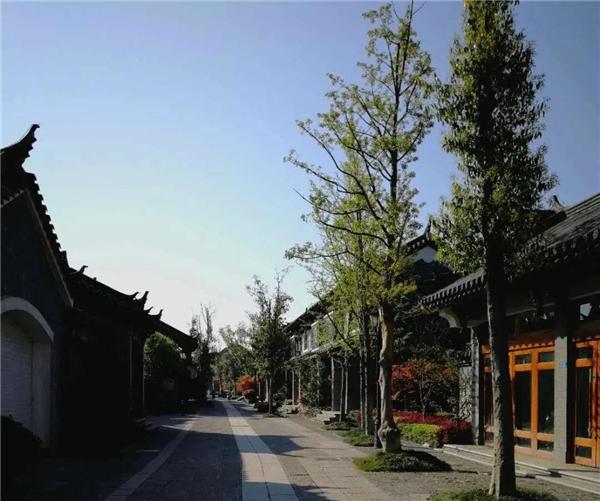 桃源走笔｜爰有乐土得我所