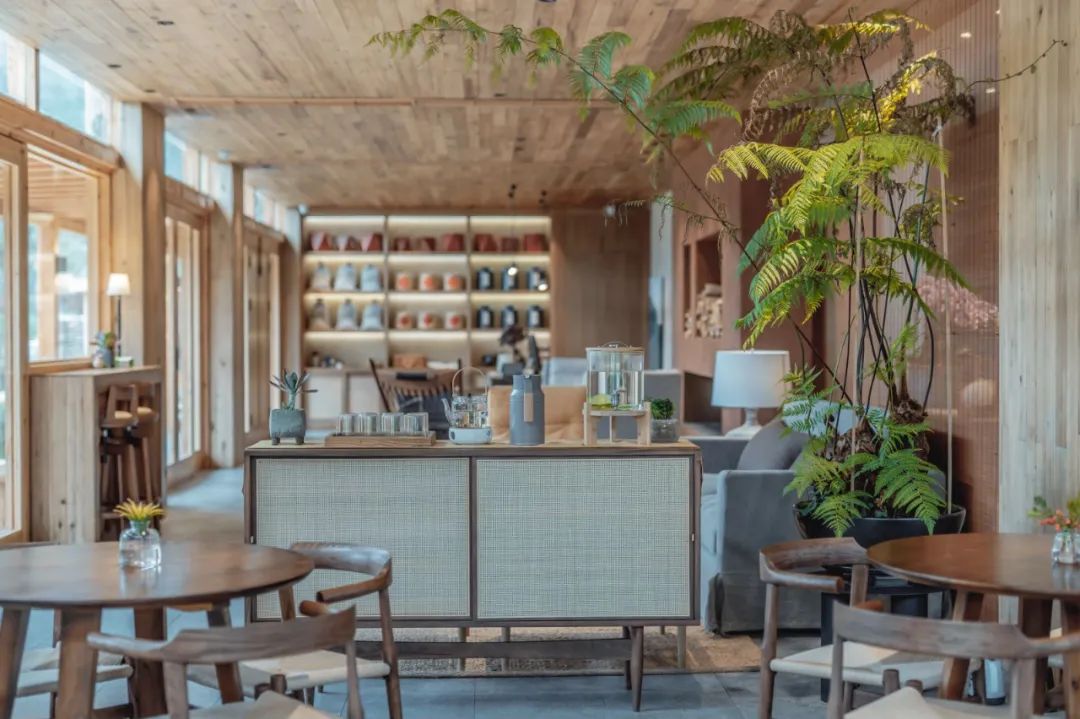 娄艺潇住的哪个酒店,娄艺潇旅游住民宿