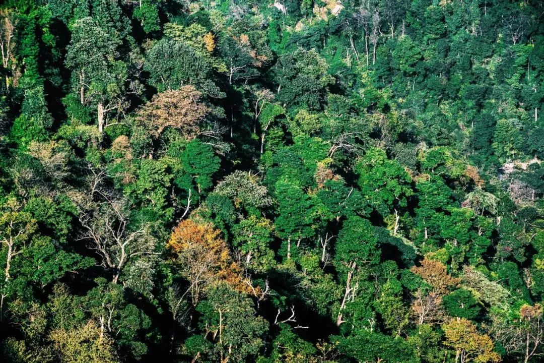南宁附近最适合游泳避暑的地方,南宁夏天有哪些避暑的地方