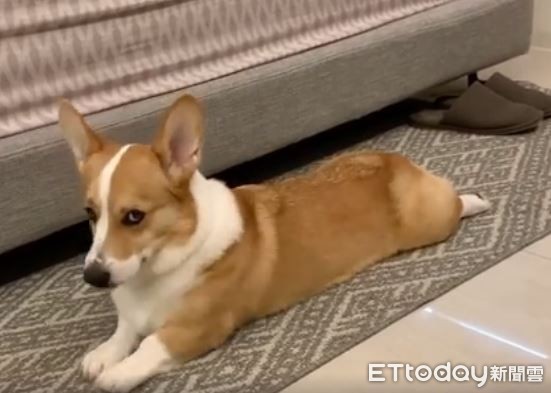 起床拉腿筋,起床拉伸骨头咔咔响