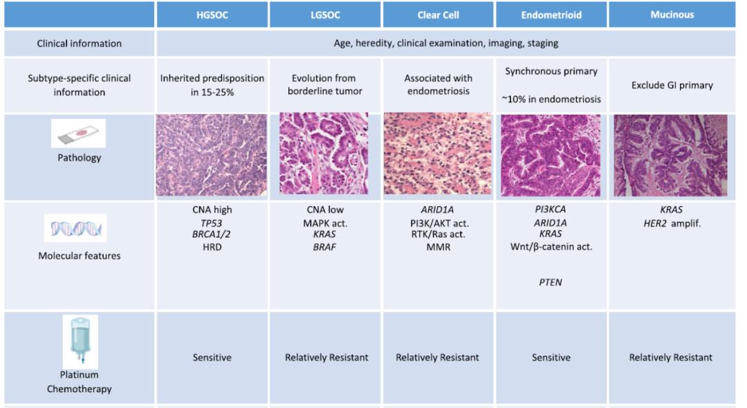 七成卵巢癌3年内复发是真的吗,六成患者确诊时已是中晚期