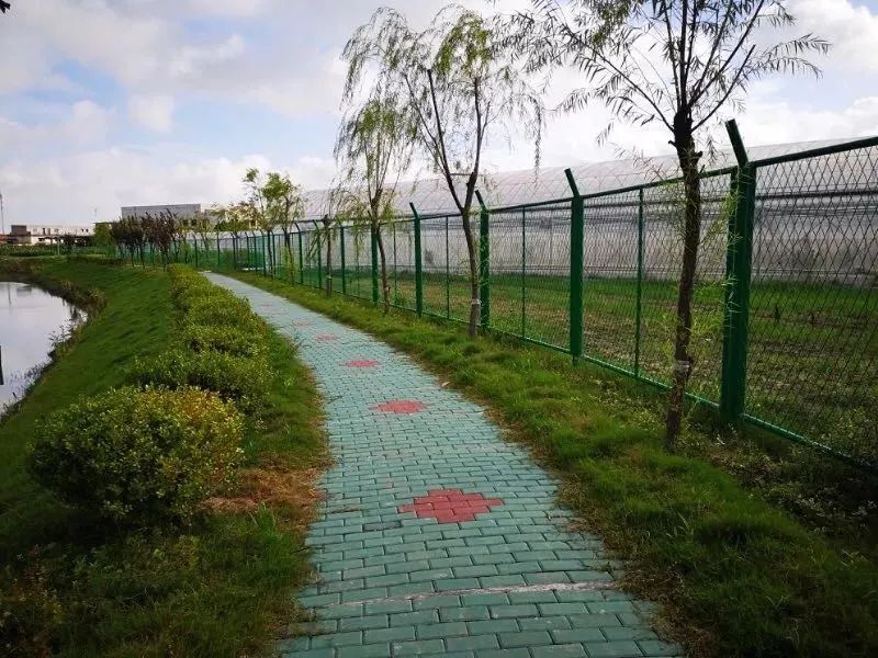 上海乡村振兴产业基地,上海宝山开发定位