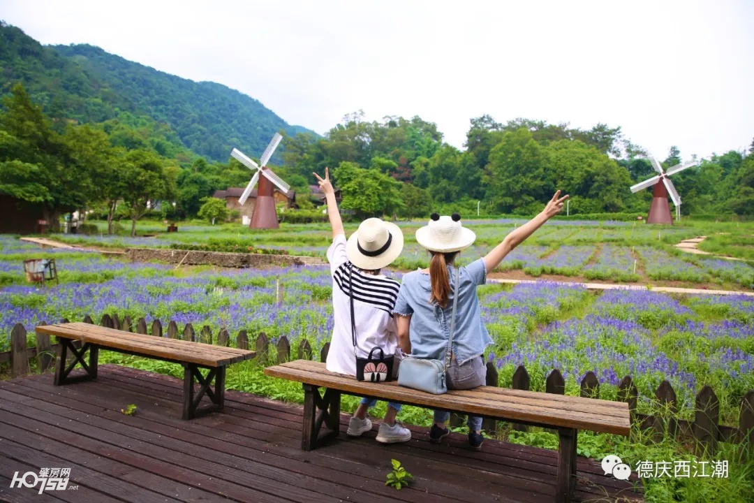 德庆盘龙峡最新视频,德庆县盘龙峡全景图