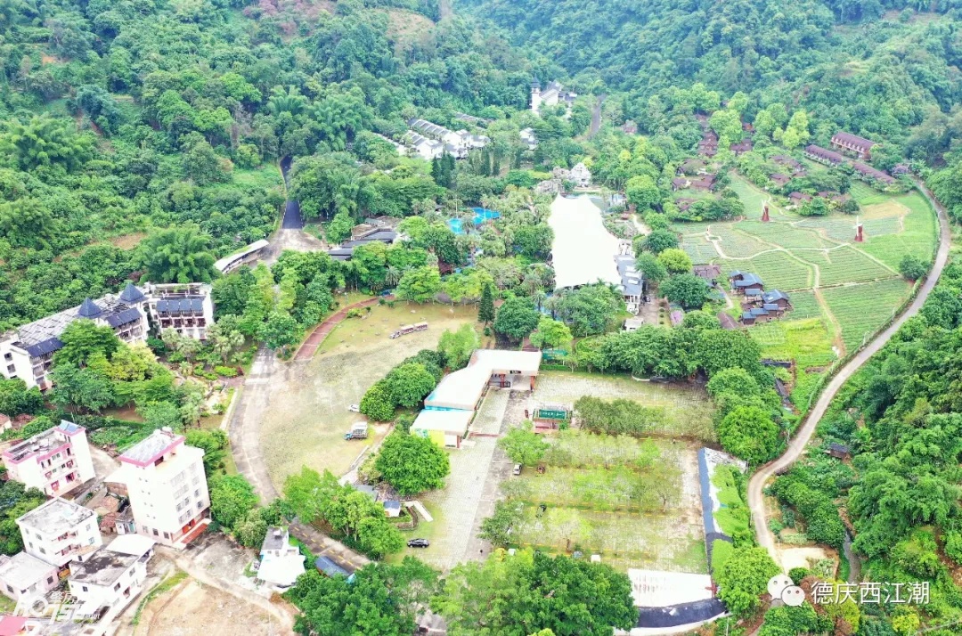 德庆盘龙峡最新视频,德庆县盘龙峡全景图