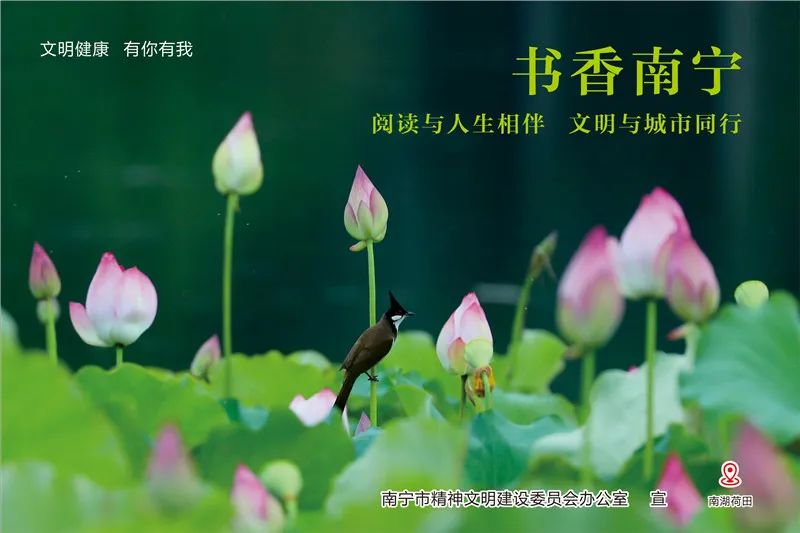 南宁主要旅游必去景点,南宁旅游这些必玩景点