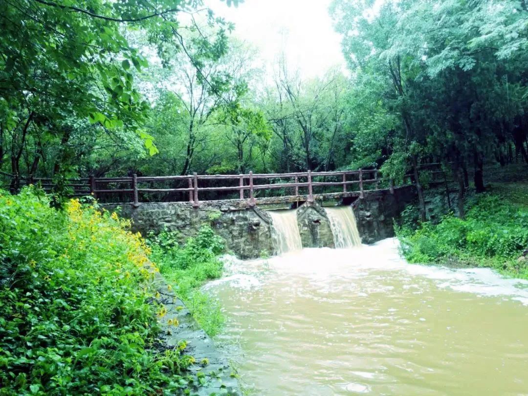 雨天的艾山，宛如人间仙境