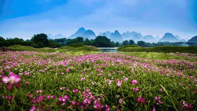 比买一送一还划算，全年不涨价！享山水画里329㎡双卧别墅，玩皮划艇漂流