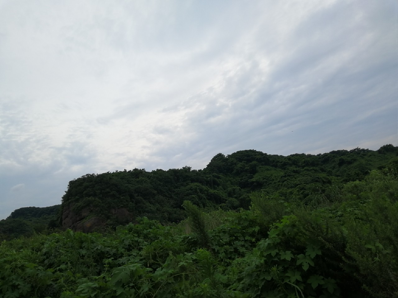 小鱼闹窝怎么赶走,小鱼小虾闹窝怎么办