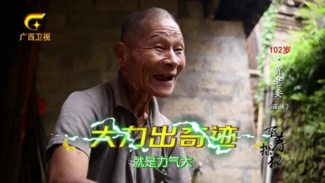 牛胃里的草叫什么,牛胃里的牛草黄