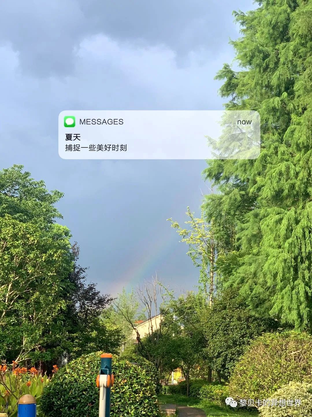 贝壳鞋搭配女生夏天裙子,贝壳分享好物