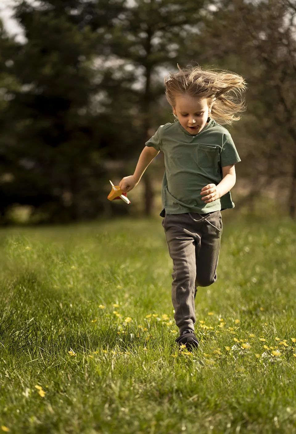 全世界最绿的50张照片