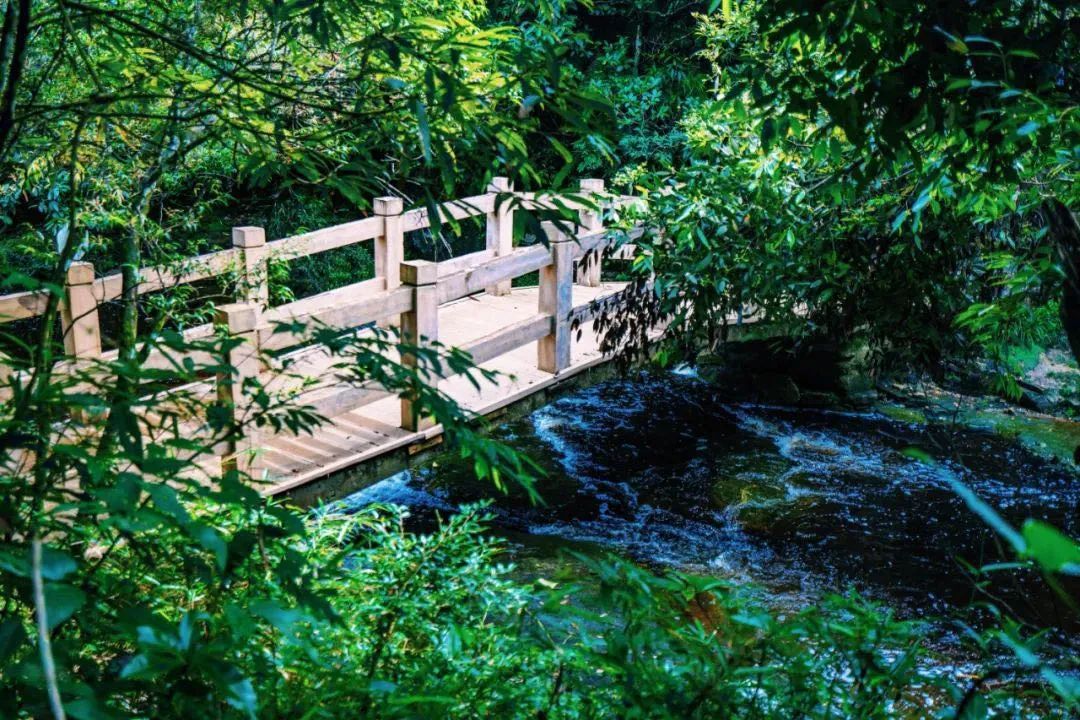大明山有必要坐景区直通车吗,南宁到大明山直通车