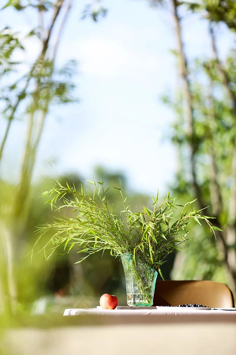 染了彼此乡愁，从此长途跋涉