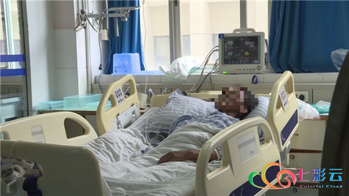 云南楚雄野生菌中毒,楚雄州野生菌中毒