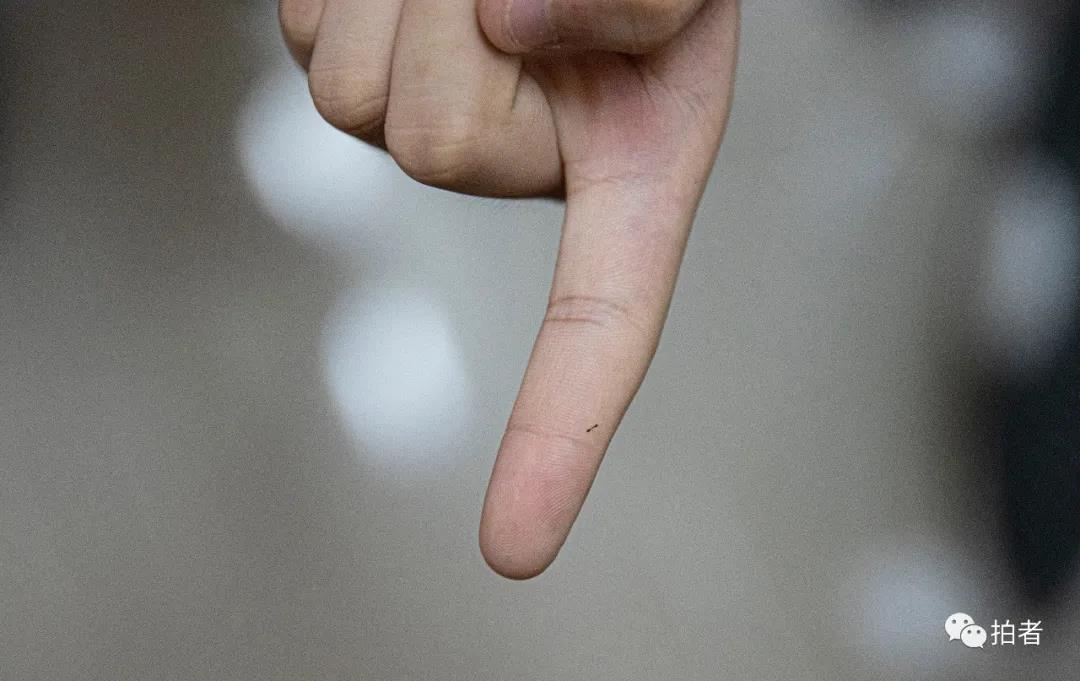 香港单亲妈妈住8平方劏房,香港深水埗劏房单亲妈妈