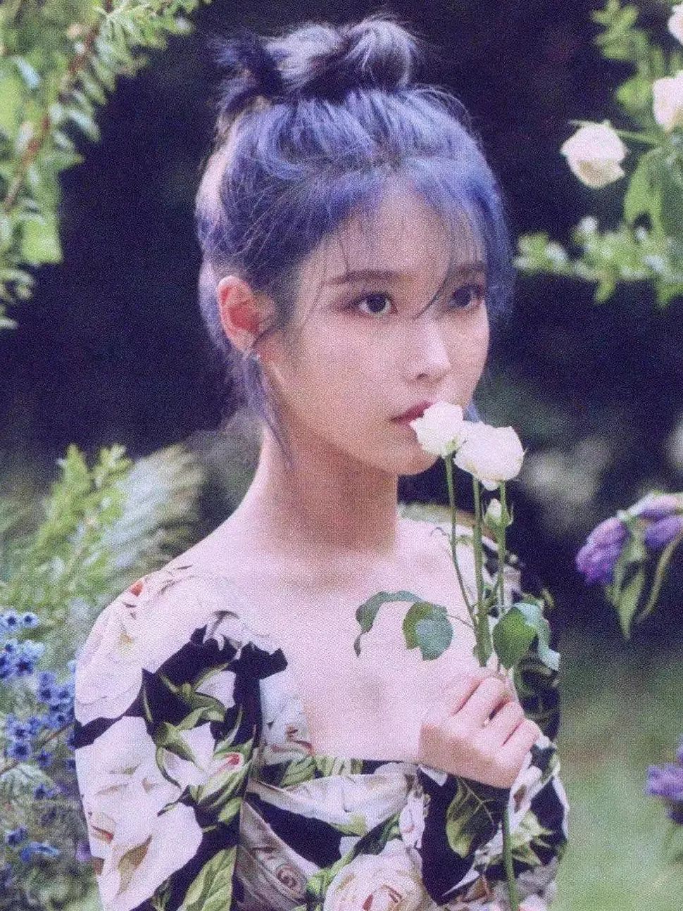 明星神仙颜值女,女明星的神仙颜值动图