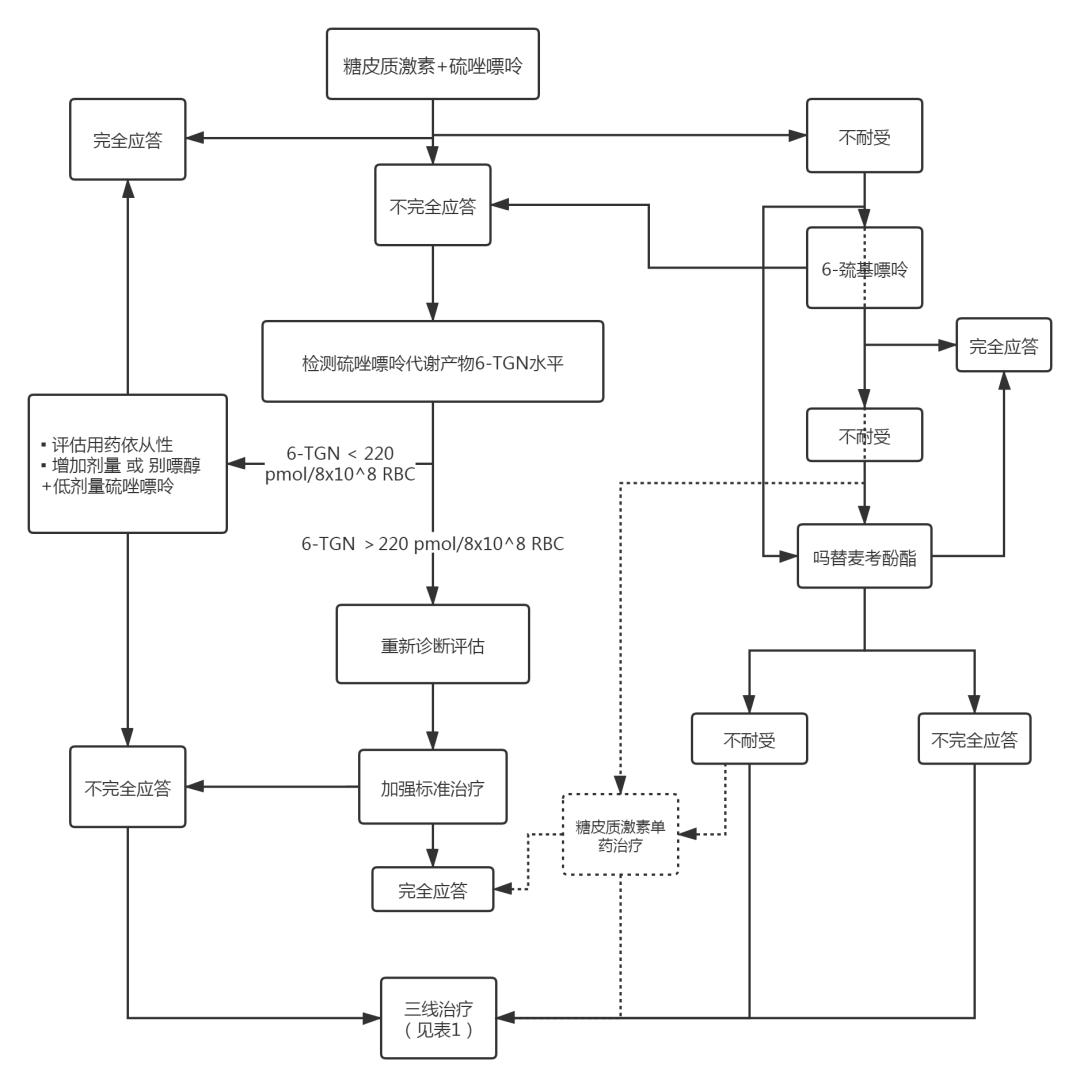 自身免疫性肝炎的二线与三线治疗：国际自身免疫性肝炎小组立场声明