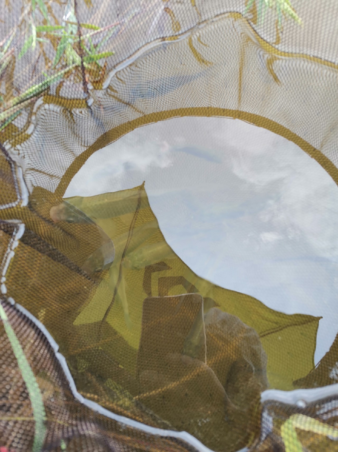 玩了多年的并继和碳素竿，总是在不断的折腾和寻找