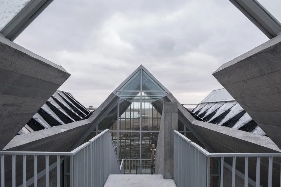 探索崇明东滩湿地公园的奥秘,崇明东滩湿地科研中心