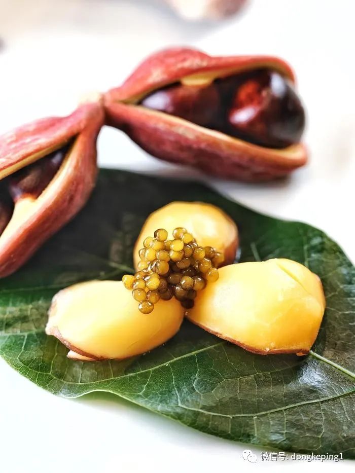 董克平餐桌-“品味珠江”晚宴