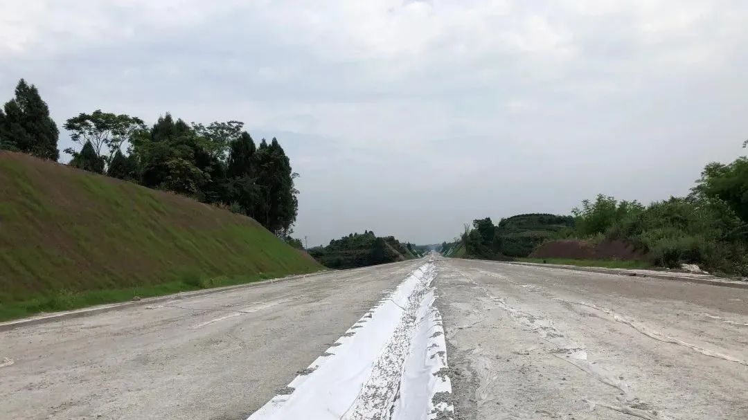 成眉市域铁路s5线最新进展,市域铁路s5仁寿支线