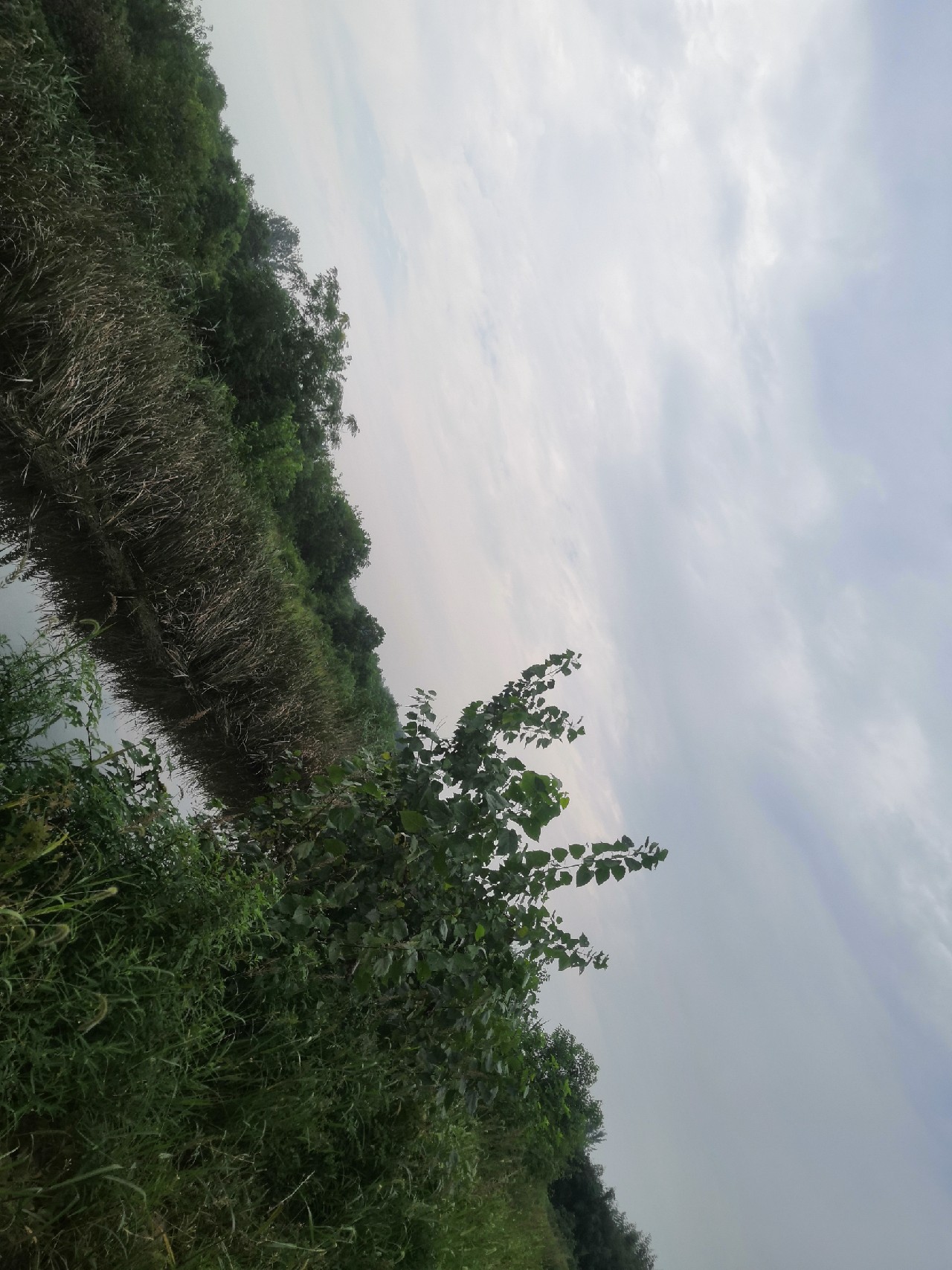 香酥可口的炸酥鱼吃了还想吃,喜欢吃炸带鱼