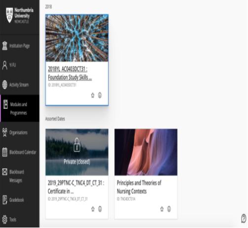 护理学中外合作,护理学国际护理学院专业