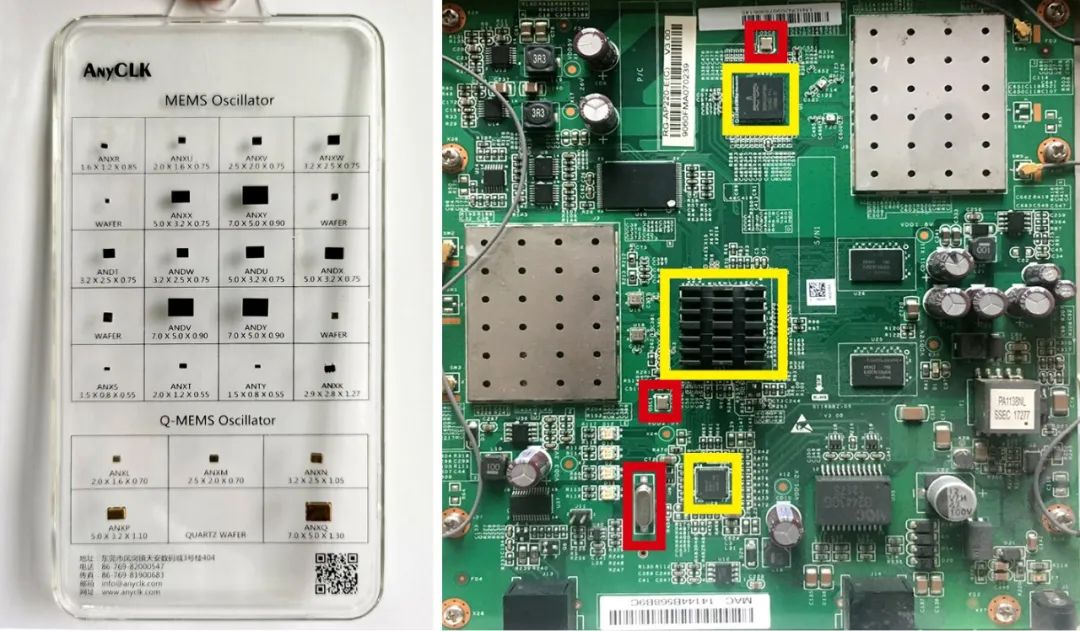 小料观察神秘生物,小料科普大师