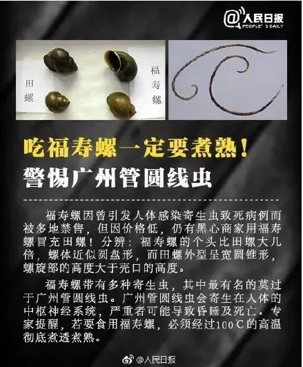 福寿螺不能吃为什么其他螺肉能吃,福寿螺肉质肥美为什么不能吃