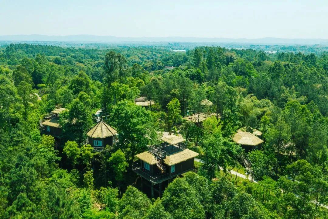 成都彭镇老茶馆,成都彭镇老茶馆打卡地点