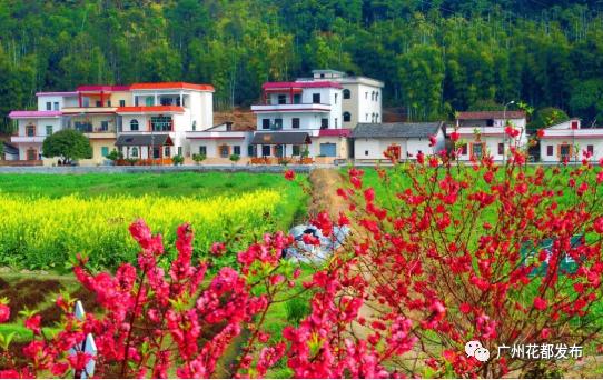 花都这些村超级棒!快来助力!