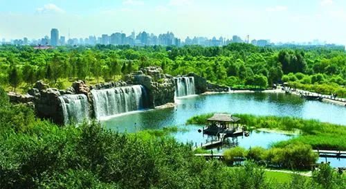 简直认不出这是哈尔滨！三种姿势，别样过夏天