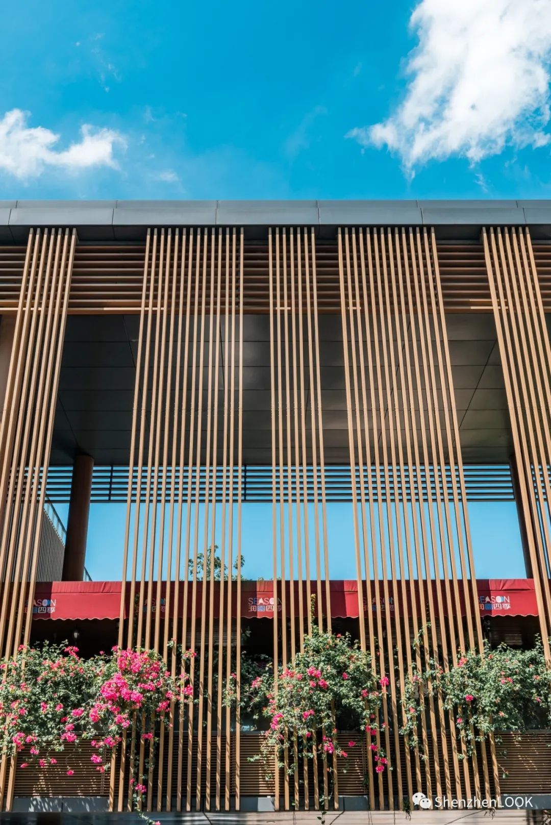 LOOK|欢乐海岸·第9年