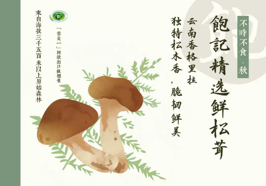 松茸比普通菌类贵多少,最好的松茸是哪里的