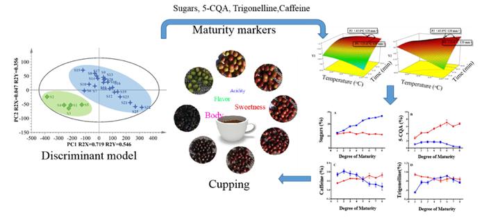 云南咖啡品质如何,云南咖啡味道独特的原因