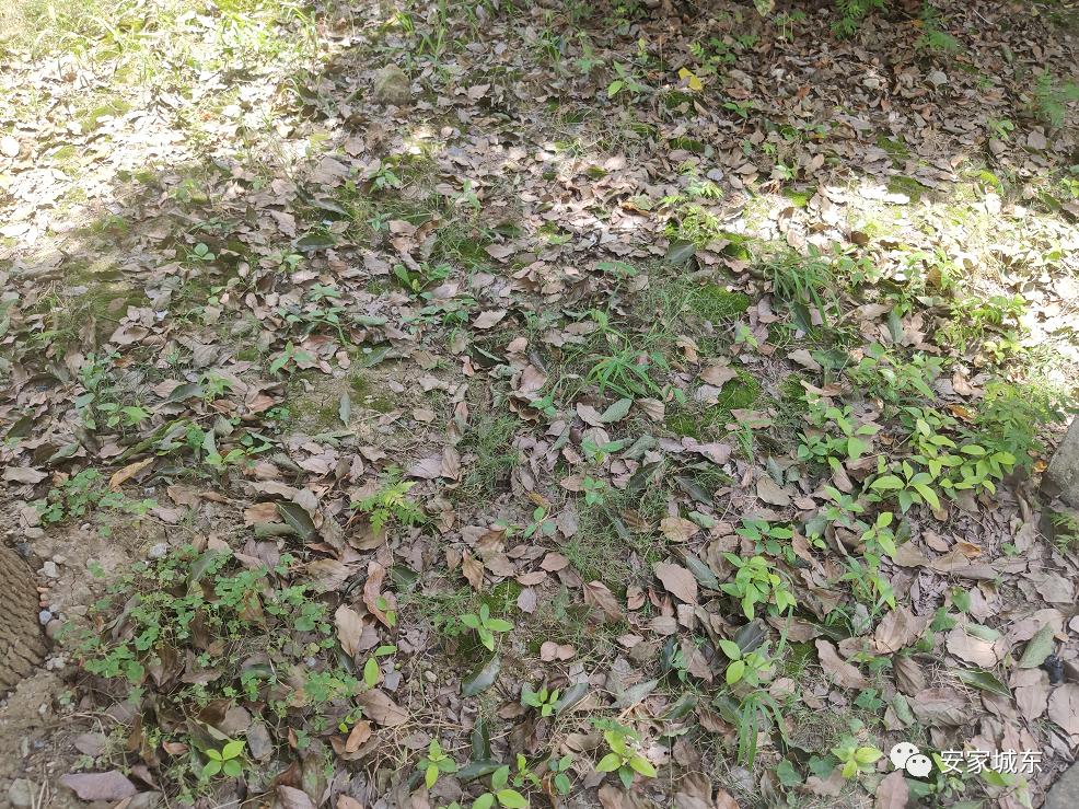 小区堵车物业处理不了,小区内经常堵车怎么投诉物业