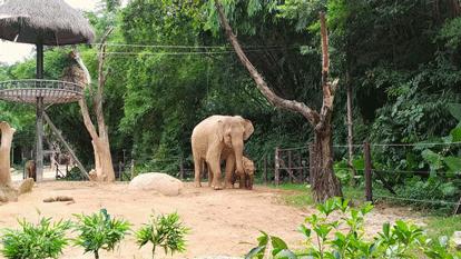 长隆乐园欢乐世界,广州长隆游玩注意事项