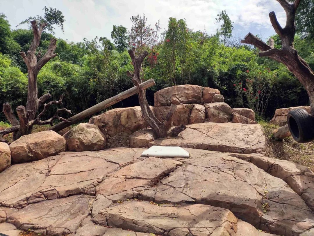 长隆乐园欢乐世界,广州长隆游玩注意事项