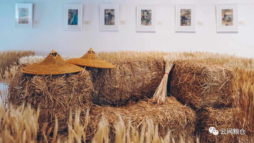 篮球场绿茵场,虹口足球场附近有篮球场